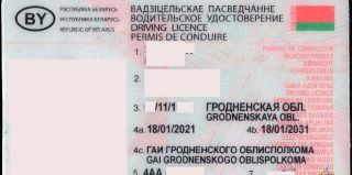 Житель Гродно за 650 рублей купил распечатанные на струйном принтере права: так и признался после проверки ГАИ
