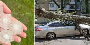 Автомобиль испортил град или упавшее дерево? Юрист ответил, кто обязан выплатить водителю компенсацию 