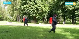 В Гродно на следующей неделе проведут повторную обработку от клещей. Где и когда?